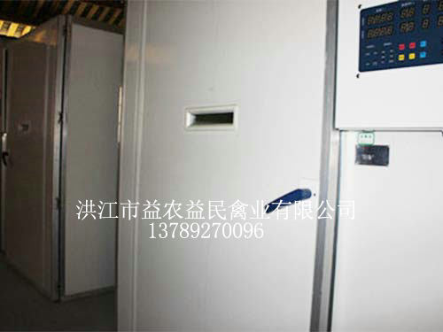 現(xiàn)代化孵化車(chē)間